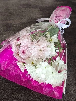 Tiga Serangkai Kekwa