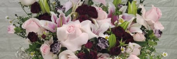 International Women's Day